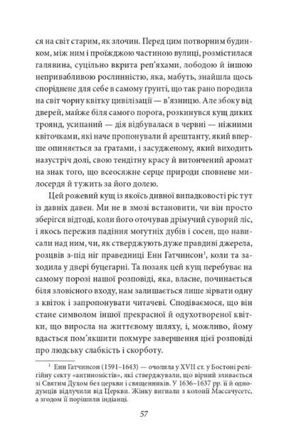 Багряна літера - Натаніель Готорн (9786175519523) - зображення 7