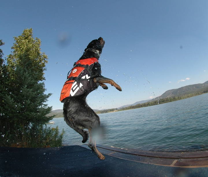 Kamizelka Ezydog Life Jacket XS 25 - 33 cm czerwona (5708214984035) - obraz 4