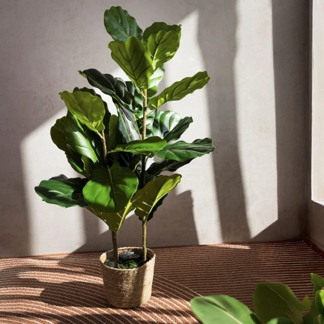 Sztuczna roślina Homla Tropical Zone Figowiec 100 cm (5904183874234) - obraz 4