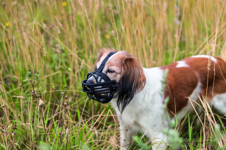 Намордник Trixie Muzzle Flex для собак, силіконовий, L-XL Чорний (4047974176153) - зображення 9
