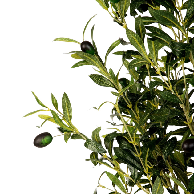 Sztuczna roślina Homla Tropical Zone Drzewko oliwne 180 cm (5904183877938) - obraz 2