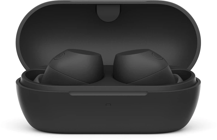 Наушники Sony WF-C710N Black (WFC710NB.E) купить в интернет