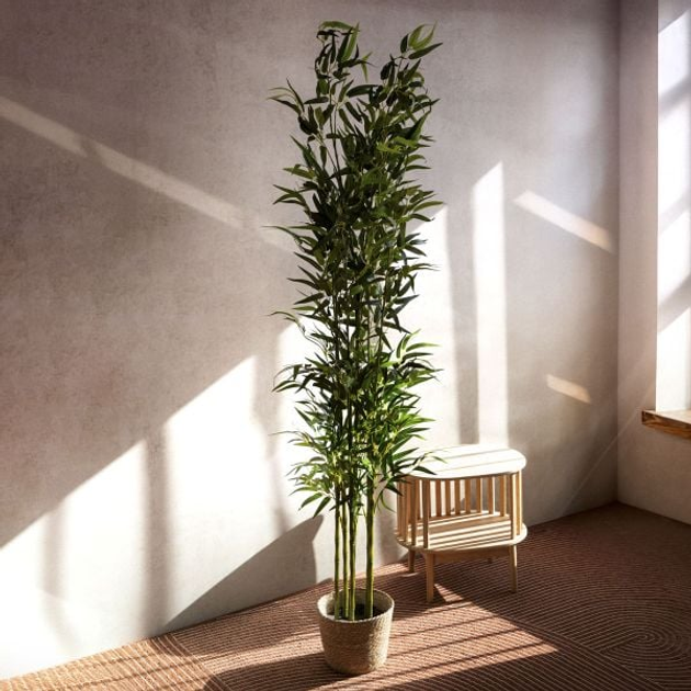 Sztuczna roślina Homla Tropical Zone Bambus 180 cm (5904183877914) - obraz 4