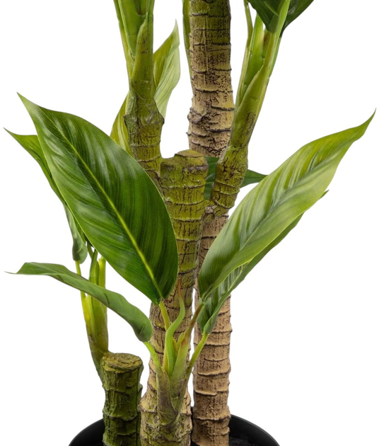 Sztuczna roślina Homla Tropical Zone Juka 90 cm (5906496740589) - obraz 3