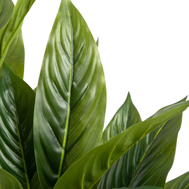 Sztuczna roślina Homla Tropical Zone Juka 90 cm (5906496740589) - obraz 4