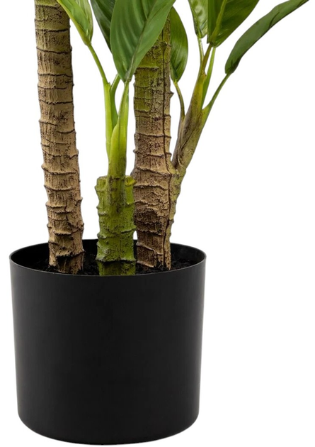 Sztuczna roślina Homla Tropical Zone Juka 90 cm (5906496740589) - obraz 5