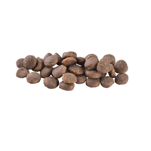 Сухой корм Brit Care Dog Grain-free Puppy для щенков, беззерновой с лососем, 3 кг - изображение 2