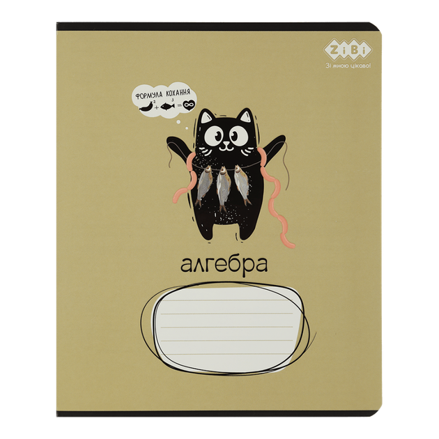 Набір шкільних зошитів 