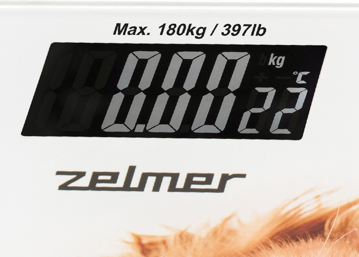 Wagi łazienkowe Zelmer ZBS1010 - obraz 3