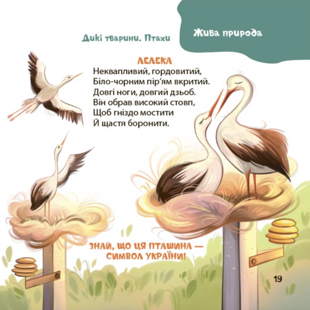 Віршенята-загадки для малят. 3-5 років - Юлія Пелихова (9786170043092) - изображение 6