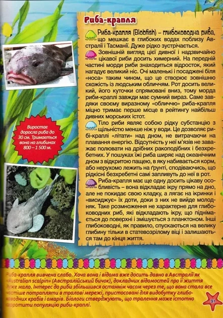 Підводний світ. Велика книга. Дитяча енциклопедія - изображение 3