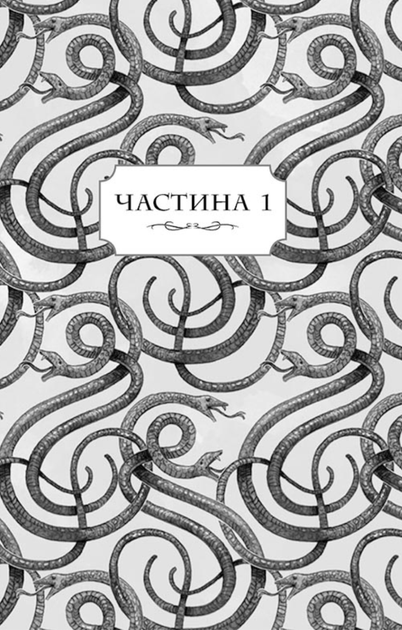 Школа добра і зла. У пошуках слави. Книга 4 - Зоман Чейнані (9786170960016) - изображение 3