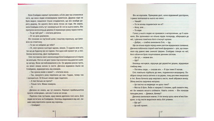Книга Двойник. Книга 4 Тесс Герритсен - изображение 6
