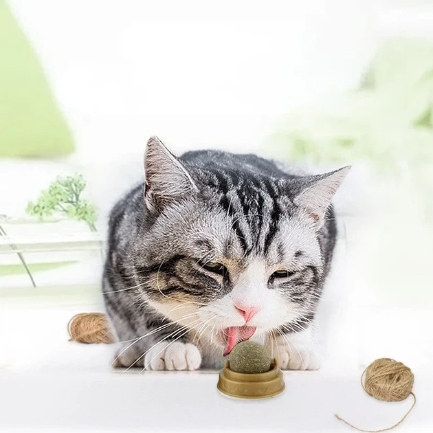 Ласощі з м'ятою для кішок із котяча м'ята, льодяник для котів, кулька, що Крута, з м'ятою на липучці - Фото 4 Ласощі з м'ятою для кішок із котяча м'ята, льодяник для котів, кулька, що Крута, з м'ятою на липучці - зображення 4