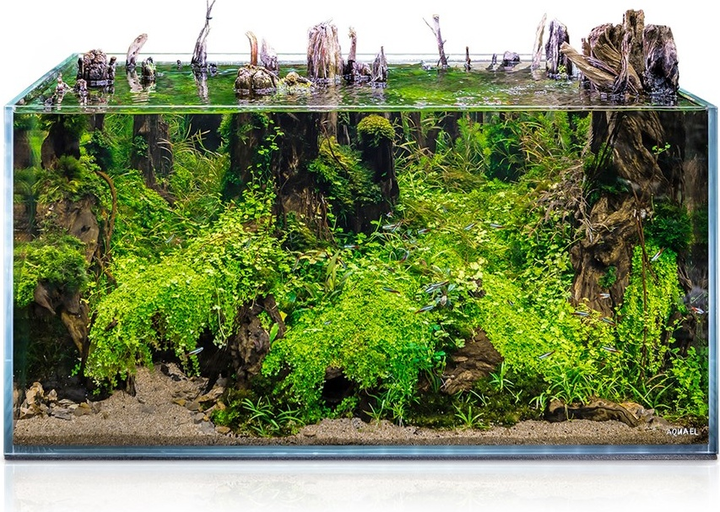 Акваріум AquaEl Opti Tank Scape 90 (5905546341691) - зображення 9