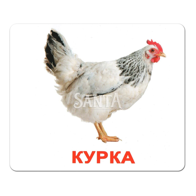 Развивающая игра Карточки Домана Моя перша валіза «Вундеркинд с пеленок» - 5 наборов (125316) - Фото 10 Развивающая игра Карточки Домана Моя перша валіза «Вундеркинд с пеленок» - 5 наборов (125316) - изображение 10