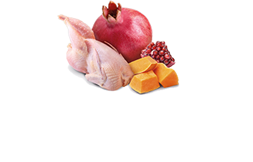 Влажный беззерновой корм Farmina Grain Free Pumpkin Quail Adult для котов (перепелка) 70 г (арт 160605) - изображение 2