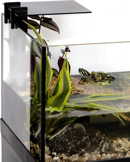 AquaTerrarium AquaEl 60 (5905546329224) - obraz 4