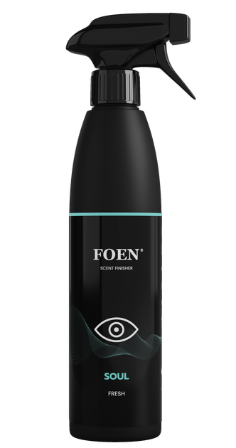 Парфуми для інтер'єру Foen soul 450 мл (5907811375998) - зображення 1