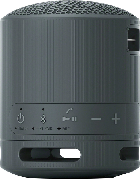 Głośnik przenośny Sony SRS-XB100 Black (4548736146129) - obraz 3