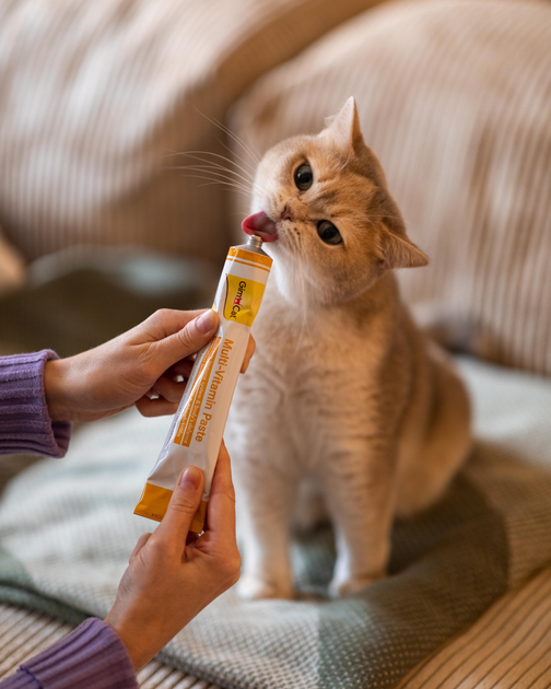 Паста для котів GimCat Multi-Vitamin (Джім Кет), 200 г - зображення 4