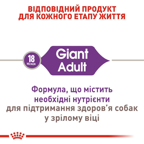 Сухой корм Royal Canin Giant Adult для взрослых собак гигантских пород от 18 месяцев 15 кг (арт 30091500) - Фото 4 Сухой корм Royal Canin Giant Adult для взрослых собак гигантских пород от 18 месяцев 15 кг (арт 30091500) - изображение 4