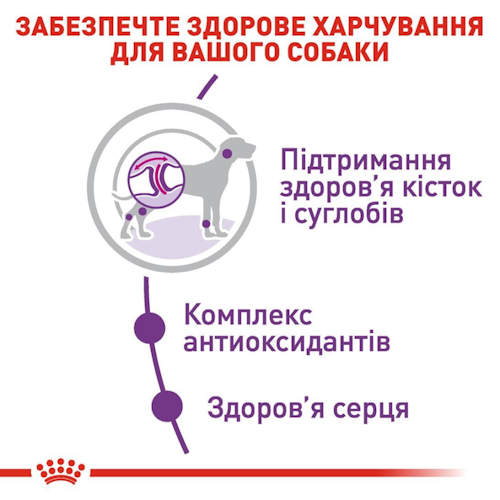 Сухой корм Royal Canin Giant Adult для взрослых собак гигантских пород от 18 месяцев 15 кг (арт 30091500) - Фото 5 Сухой корм Royal Canin Giant Adult для взрослых собак гигантских пород от 18 месяцев 15 кг (арт 30091500) - изображение 5