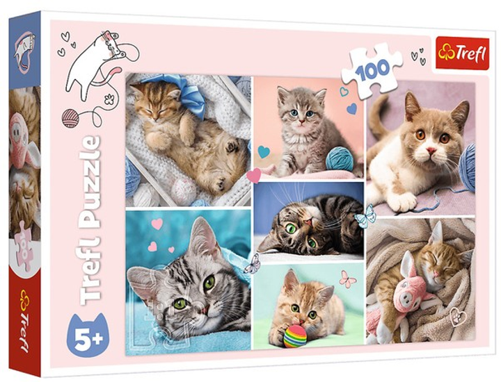 Puzzle Trefl W kocim świecie 100 elementów 16420 (5900511164206) - obraz 1