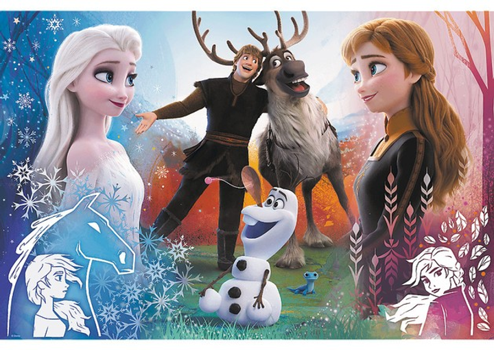 Puzzle Trefl Kraina Lodu 2 Disney 300 elementów 23006 (5900511230062) - obraz 2
