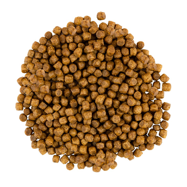 Sucha karma dla kociąt Savory z kurczakiem i indykiem 2 kg  (4820232630143) - obraz 2