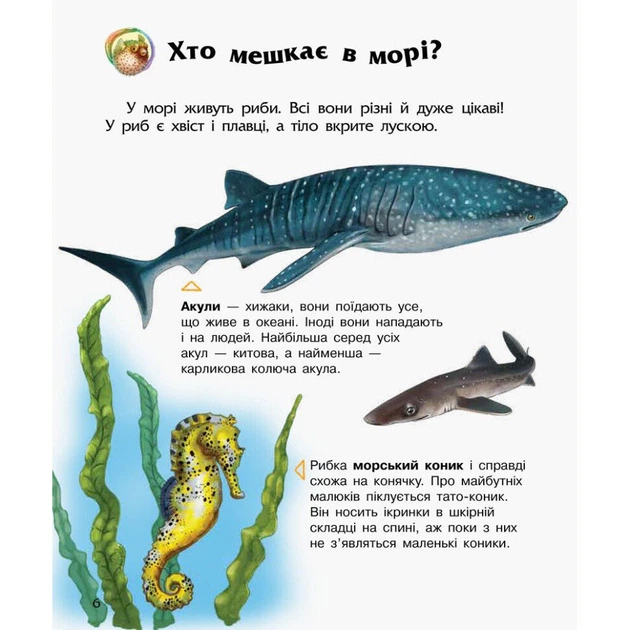 Енциклопедія дошкільника Океани та моря Ranok Creative 614055 для найменших - изображение 2
