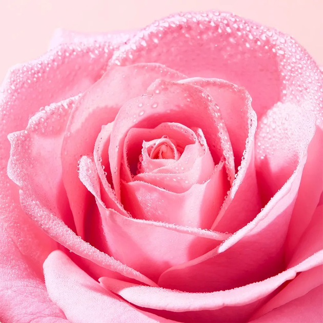 Міцелярна вода Nuxe Very Rose 200 мл (3264680043444) - зображення 4