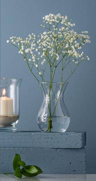 Ваза скляна 18 см Trendglass Asta 35445 - Фото 3 Ваза скляна 18 см Trendglass Asta 35445 - зображення 3