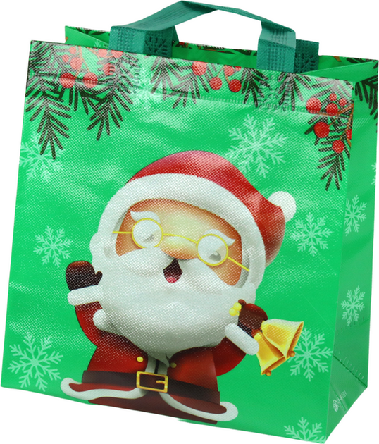 Подарункова сумка LEAN Toys Санта паперова 23 x 21.5 x 11 см Зелена 16730 (5905884453162) - зображення 1