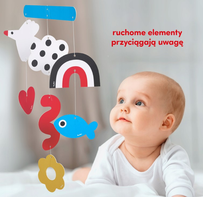Zestaw edukacyjny CzuCzu Duży starter malucha (9788367897167) - obraz 6