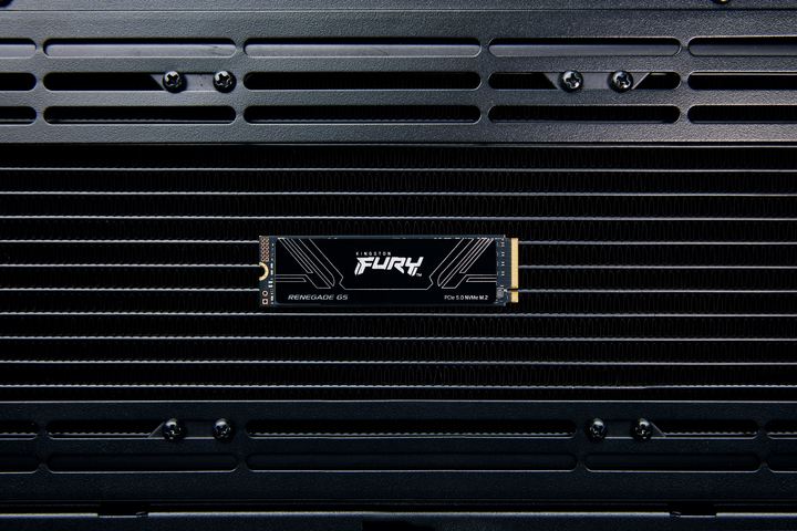 SSD диск Kingston FURY Renegade G5 2TB M.2 2280 NVMe PCIe Gen 5.0 x4 3D NAND TLC (SFYR2S/2T0) - зображення 5
