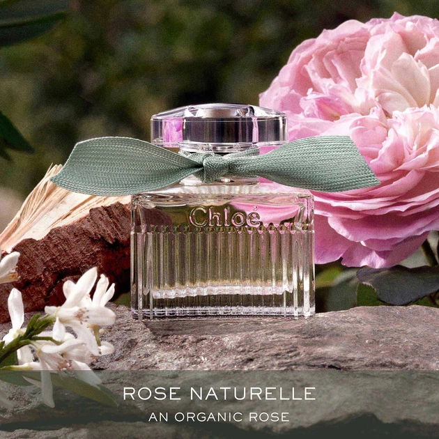 Тестер парфюмированной воды для женщин Chloe Rose Naturelle 100 мл (3616303429973) - Фото 4 Тестер парфюмированной воды для женщин Chloe Rose Naturelle 100 мл (3616303429973) - изображение 4