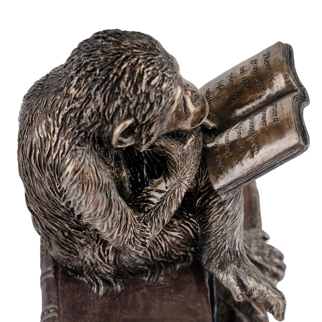 Статуетка Veronese Мавпа на книгах 17 см 76560A4 - зображення 4