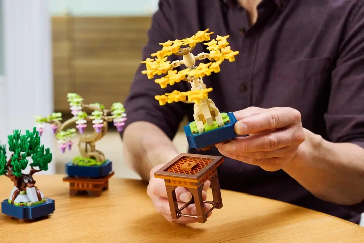 Конструктор LEGO Botanicals Мінідерева бонсай 709 деталей (10373) - зображення 7
