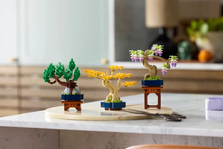 Конструктор LEGO Botanicals Мінідерева бонсай 709 деталей (10373) - зображення 11