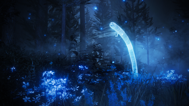 Gra Elden Ring Shadow of the Erdtree Edition Collector’s Edition na PC (kod aktywacyjny) - obraz 14