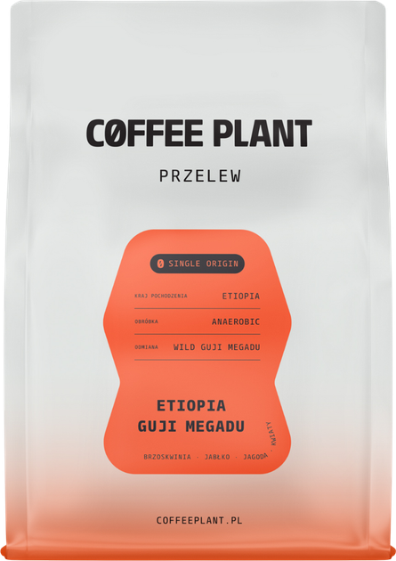 Кава в зернах Coffee Plant Etiopia Guji Megadu Anaerobic Filter 250 г (5904800243177) - зображення 1