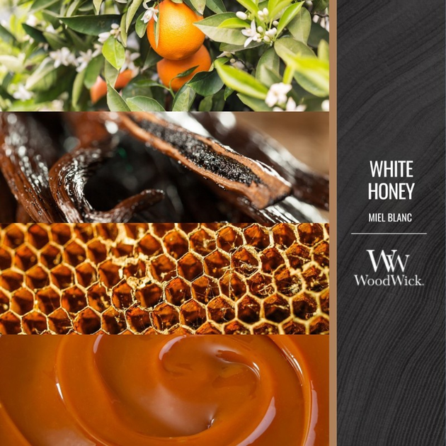 Świeca zapachowa Woodwick White Honey 453 g (5038581077864) - obraz 2