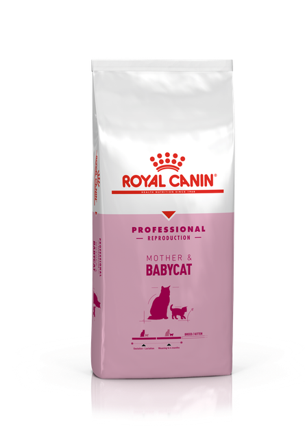Корм для новонароджених кошенят і кішок під час вагітності ROYAL CANIN Роял канін MOTHER & BABYCAT 10 кг. - изображение 2