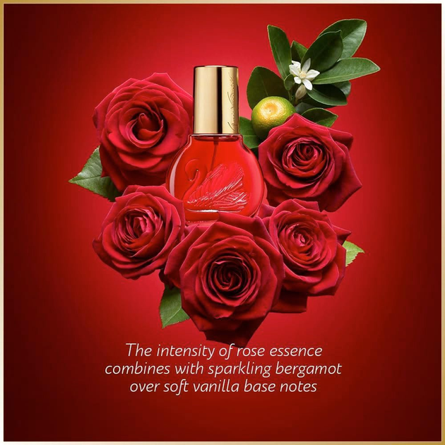Zestaw damski Gloria Vanderbilt Woda toaletowa Original 30 ml + In Red 30 ml + Miss Vanderbilt 30 ml (5060967730018) - obraz 3