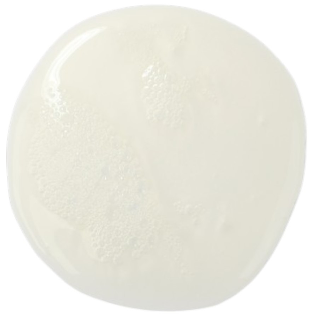 Szampon Kevin Murphy Blow Dry Wash 250 ml (9339341035985) - obraz 2