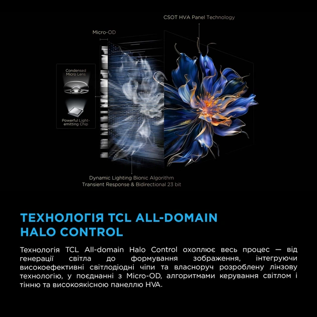 Телевизор TCL MiniLED 55
