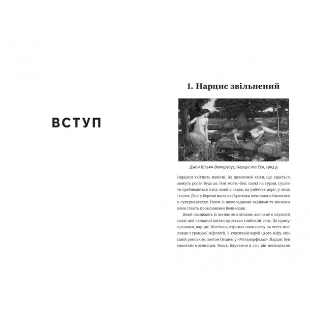 Книга Нарцис у розквіті: Альтернативна історія селфі. Автор - Метт Кохун. Книголав 9786178566043 - изображение 2