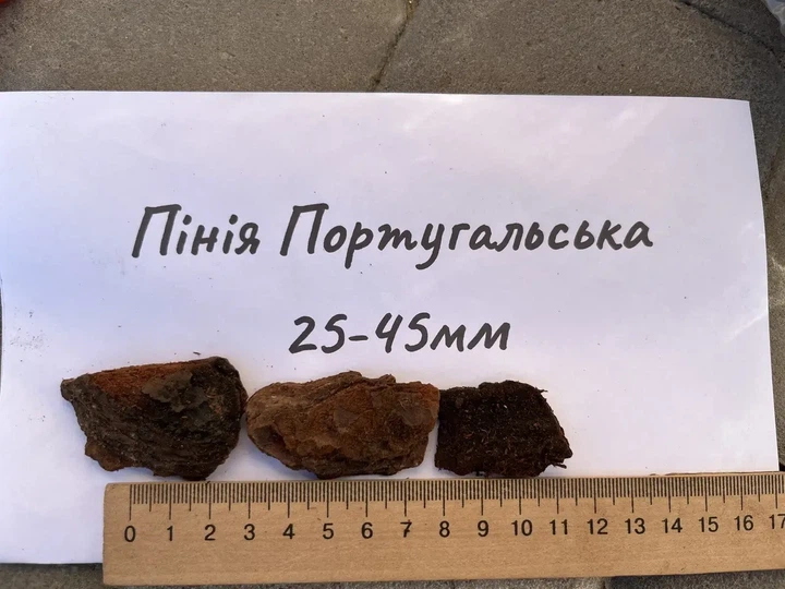 Субстрат кора пінії 25–45 мм португальська декоративна 1 л для мульчування і клумб - Фото 5 Субстрат кора пінії 25–45 мм португальська декоративна 1 л для мульчування і клумб - зображення 5
