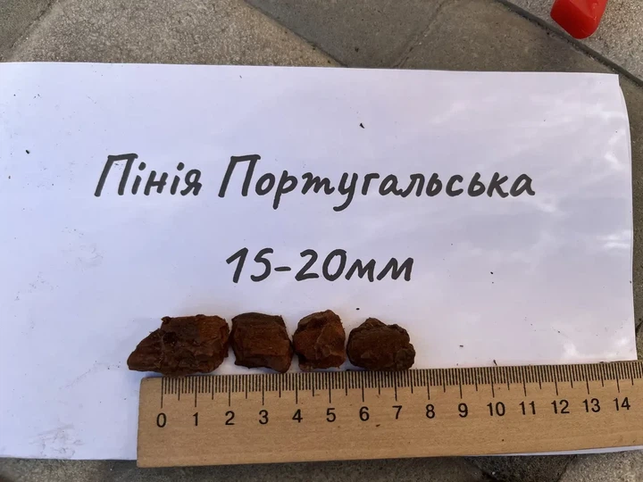 Субстрат кора пінії 15–20 мм португальська декоративна 50 л для мульчування і клумб - зображення 4